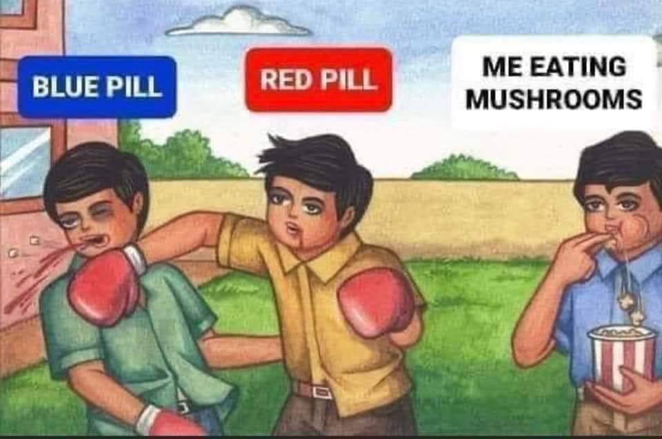 ME EATING BLUE PILL MUSHROOMS A