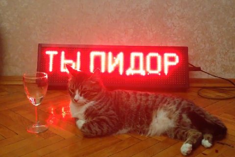 ТЫ ПИДОР