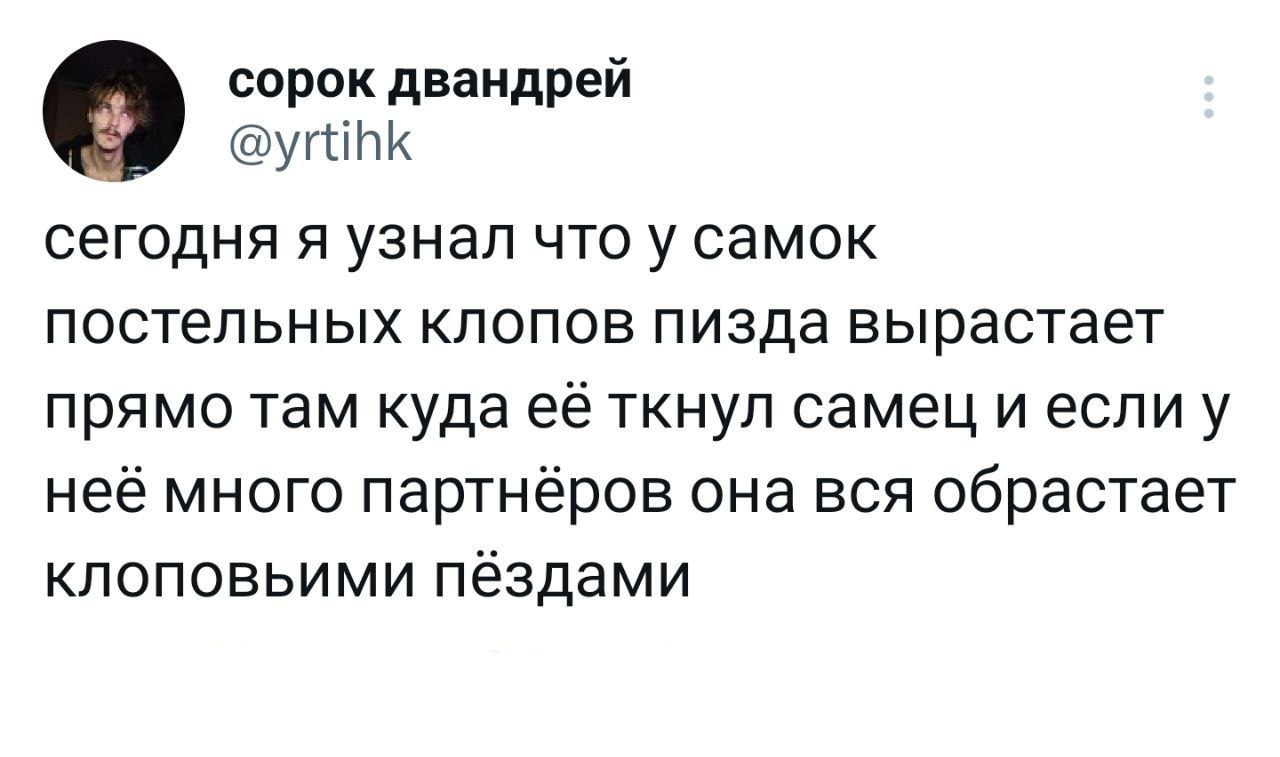 сорок двандрей сегодня я узнал что у самок постельных клопов пизда вырастает прямо там куда ее ткнул самец и неё много партнёров она вся обрастает клоповьими