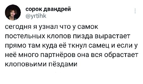 сорок двандрей сегодня я узнал что у самок постельных клопов пизда вырастает прямо там куда ее ткнул самец и неё много партнёров она вся обрастает клоповьими