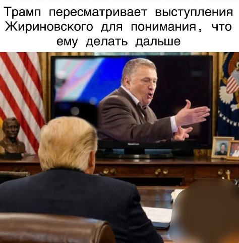 Трамп пересматривает выступления Жириновского для понимания, что ему делать дальше у