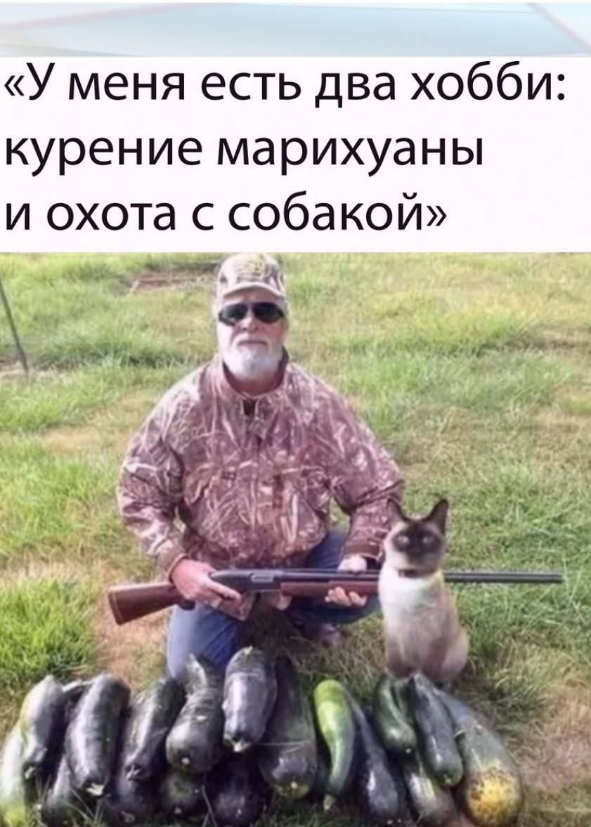 «У меня есть два хобби: курение марихуаны и охота с собакой» 2 4