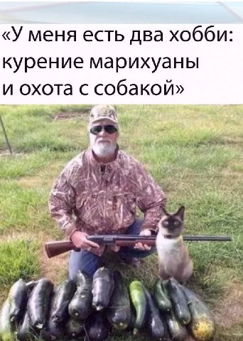 «У меня есть два хобби: курение марихуаны и охота с собакой» 2 4