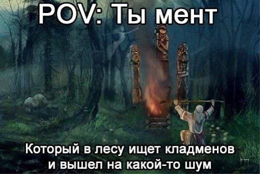Ты мент Который в лесу ищет кладменов и вышел на какой-то шум