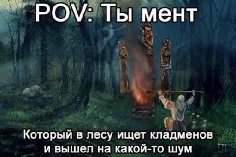 Ты мент Который в лесу ищет кладменов и вышел на какой-то шум