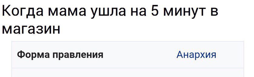 Когда мама ушла на 5 минут в магазин Форма правления Анархия