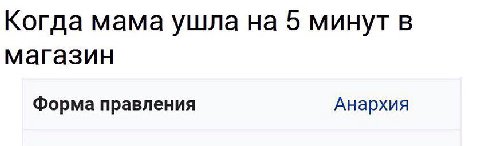 Когда мама ушла на 5 минут в магазин Форма правления Анархия