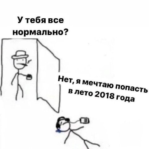 У тебя все нормально? 9 Мечтаю попасть В лето 2018 года