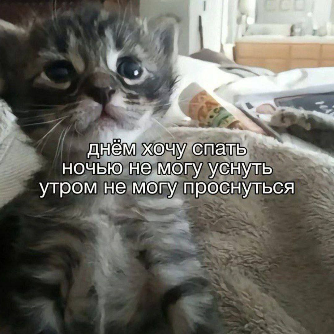 днём хочу. спать ночью не могу уснуть утром не могу проснуться