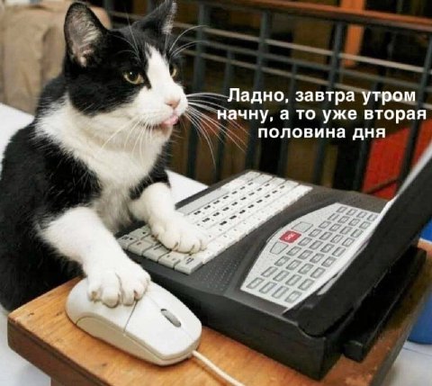 Ладно, завтра утром начну, а то уже вторая половина дня