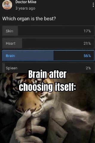 Doctor Mike 3 years ago Which organ is the best? Skin 17% Heart 21% Brain 56% Spleen 2 Brain alter ng)itself