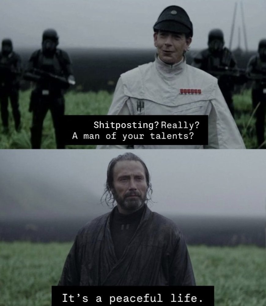 Shitposting? Really? A man of your talents? It’s a peaceful life.