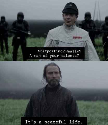 Shitposting? Really? A man of your talents? It’s a peaceful life.