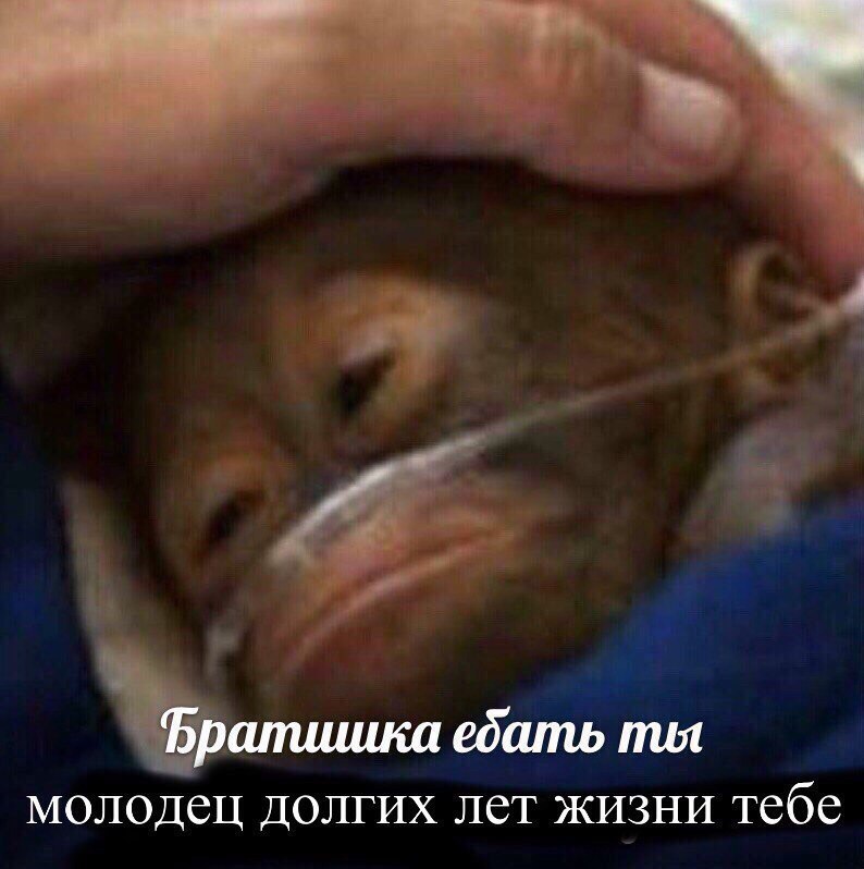 Братишка ебать ты молодец долгих лет жизни тебе