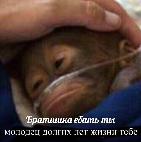 Братишка ебать ты молодец долгих лет жизни тебе