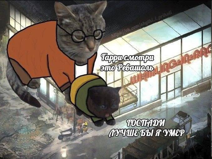 Тарри ФЫЯ