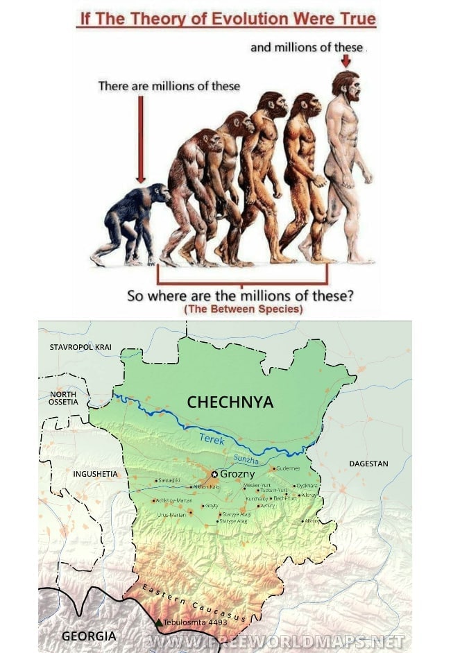 The Theory of Evolution Were True and millions of these There are millions of these у i a So where are the millions of these? (The Between Species) STAVROPOL КВА! 1 с CHECHNYA a Тегер i DAGESTAN INGUS