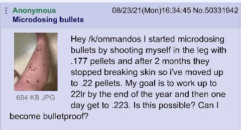 Anonymous No.50331942 Microdosing bullets /k/ommandos started microdosing bullets shooting myself in the leg with а pellets and after 2 months they stopped breaking skin so i've moved up to .22 pellet
