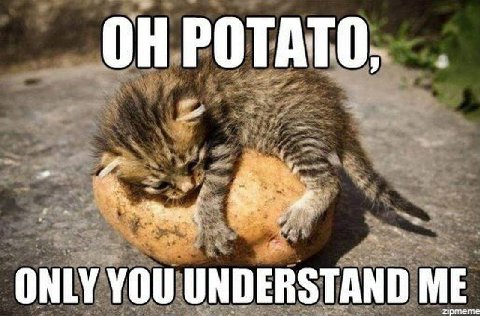 НРОТАТО i 20} ONLY YOU UNDERSTAND ME zpmeme