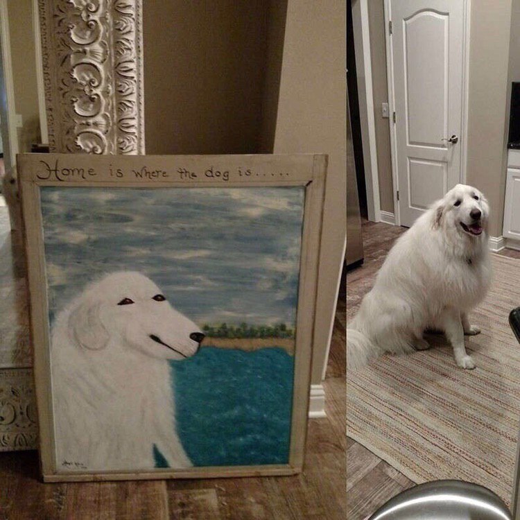 в The dog we у 4 И