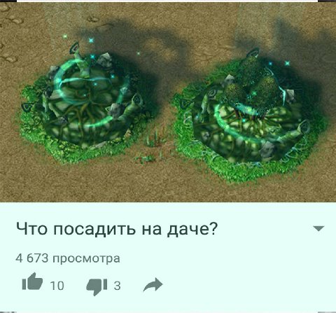 я 2 Что посадить даче? 4 673 просмотра 1@ то A