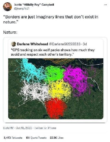 Justin “Hillbilly Boy” Campbell @jcamp1521 “Borders are just imaginary lines that don’t exist in nature.” Nature: Darlene Whitehead @Darlene66555533 "GPS tracking on six wolf packs shows how much they