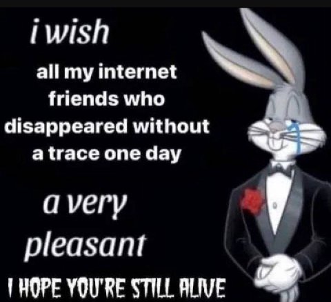 (wish all my internet friends who disappeared without a trace one day very у pleasant a ГНОРЕ YOU'RE STILL ALIVE