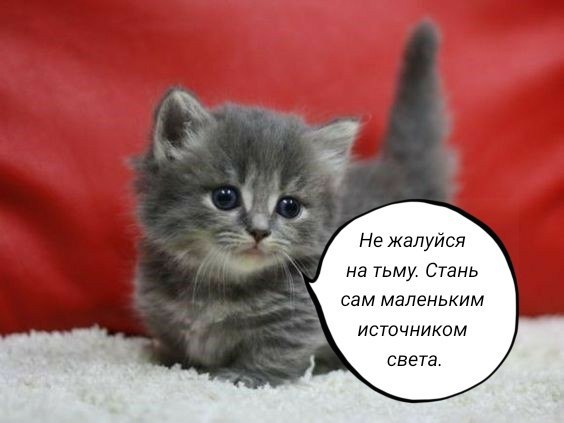 Не жалуйся на тьму. Стань сам маленьким источником света. a a