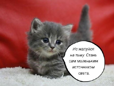 Не жалуйся на тьму. Стань сам маленьким источником света. a a