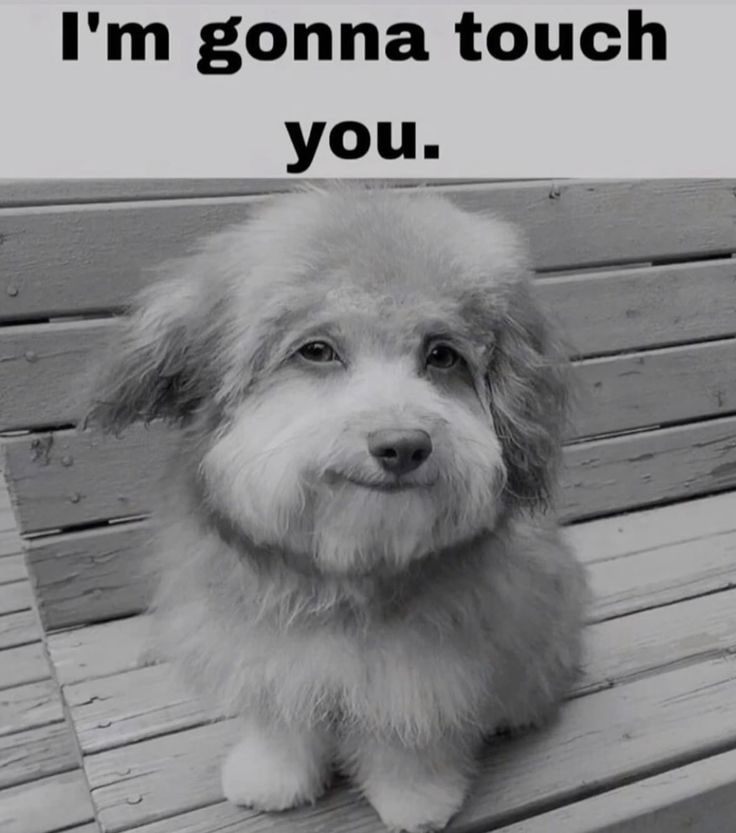 gonna touch you.
