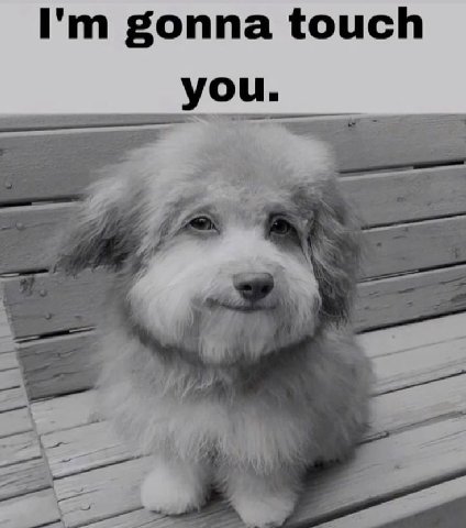 gonna touch you.