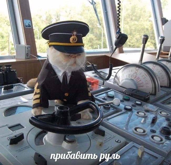 прибавить руль