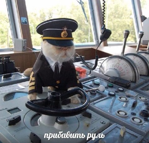 прибавить руль