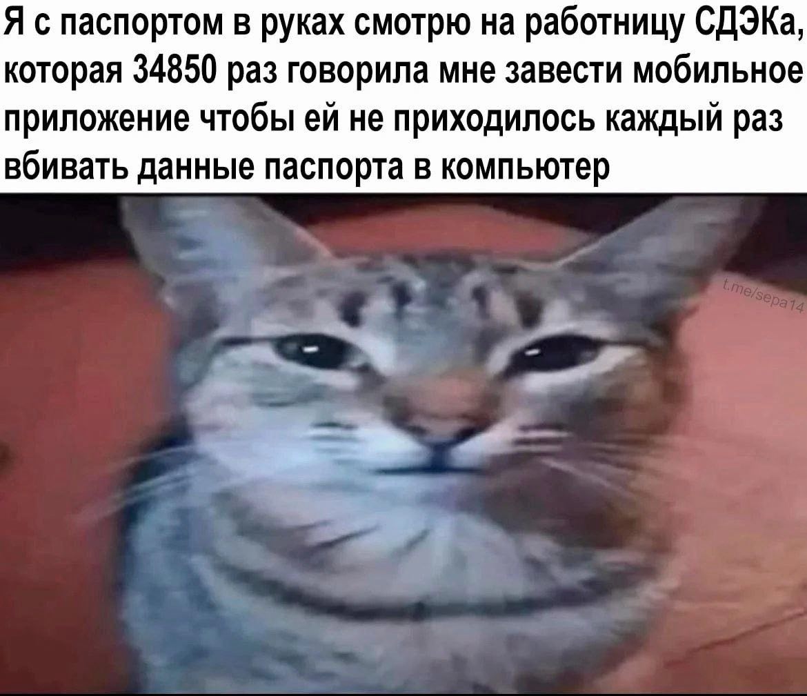 Я с паспортом в руках смотрю на работницу СДЭКа, которая 34850 раз говорила мне завести мобильное приложение чтобы не приходилось каждый раз вбивать данные паспорта в компьютер