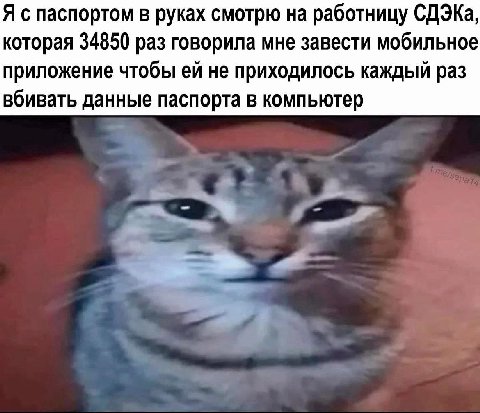 Я с паспортом в руках смотрю на работницу СДЭКа, которая 34850 раз говорила мне завести мобильное приложение чтобы не приходилось каждый раз вбивать данные паспорта в компьютер