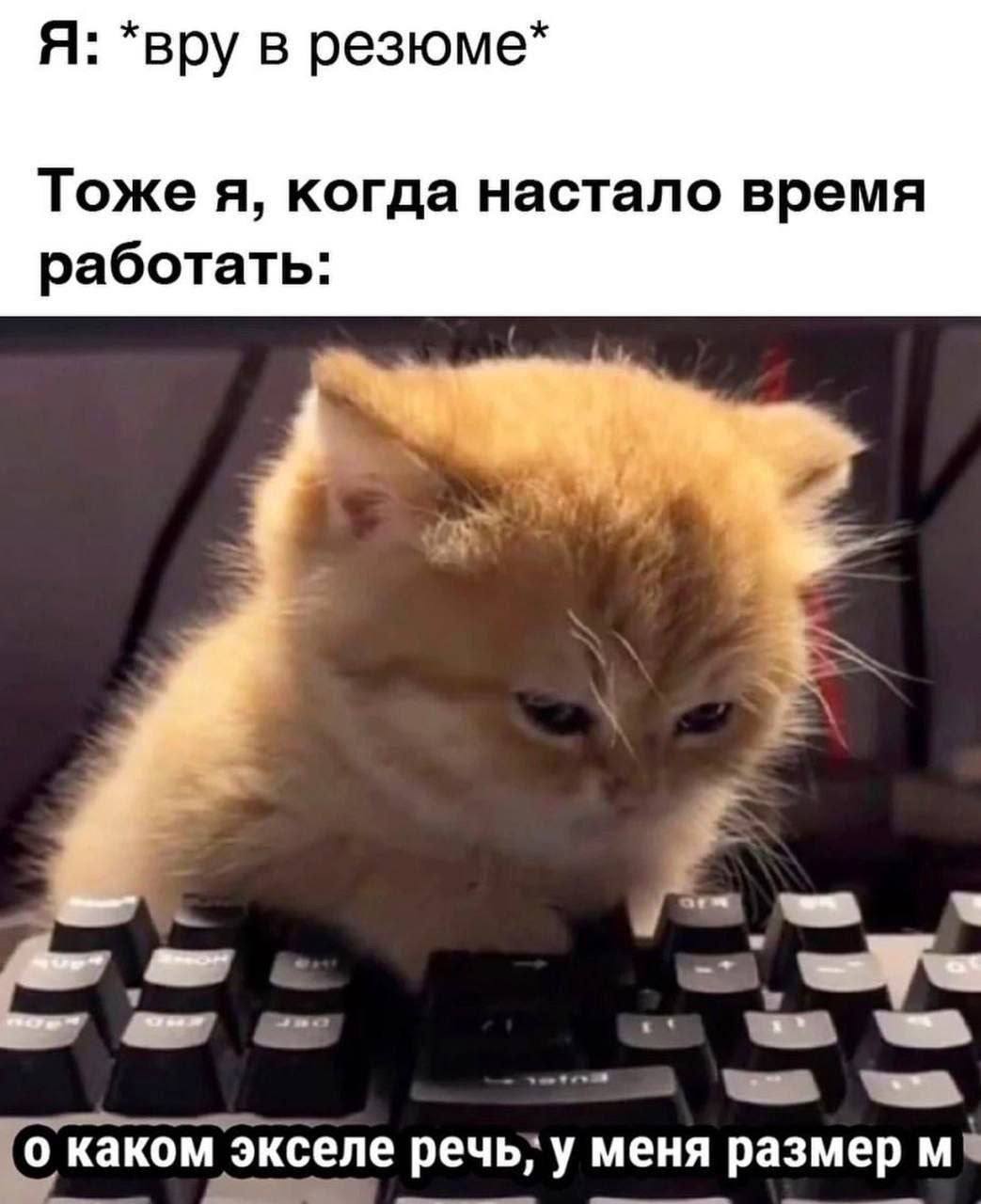 Я: *вру в резюме* Тоже я, когда настало время работать: 7 каком экселе peub; меня размер ME