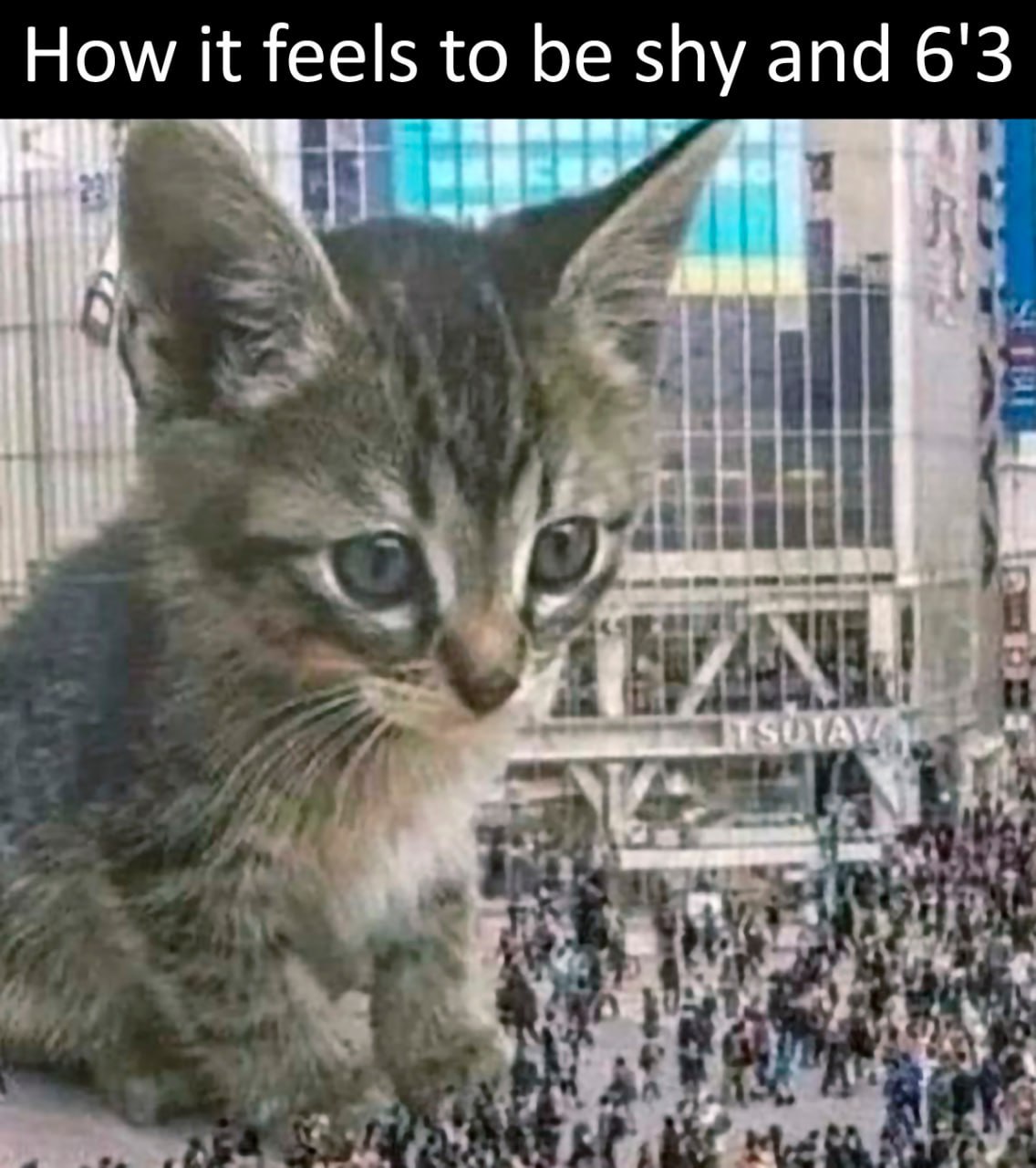 100