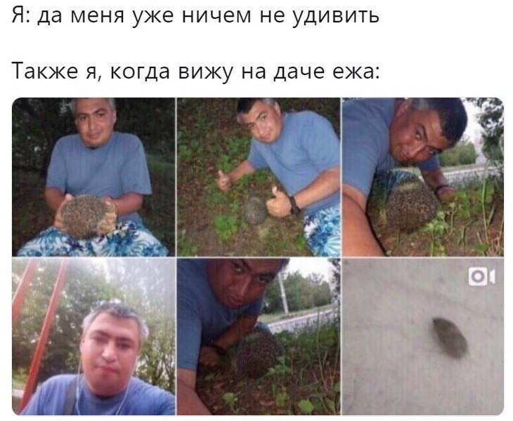 Я: да меня уже ничем не удивить Также я, когда вижу на даче ежа: i у А