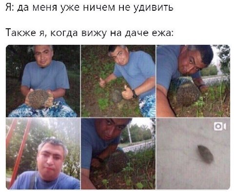 Я: да меня уже ничем не удивить Также я, когда вижу на даче ежа: i у А