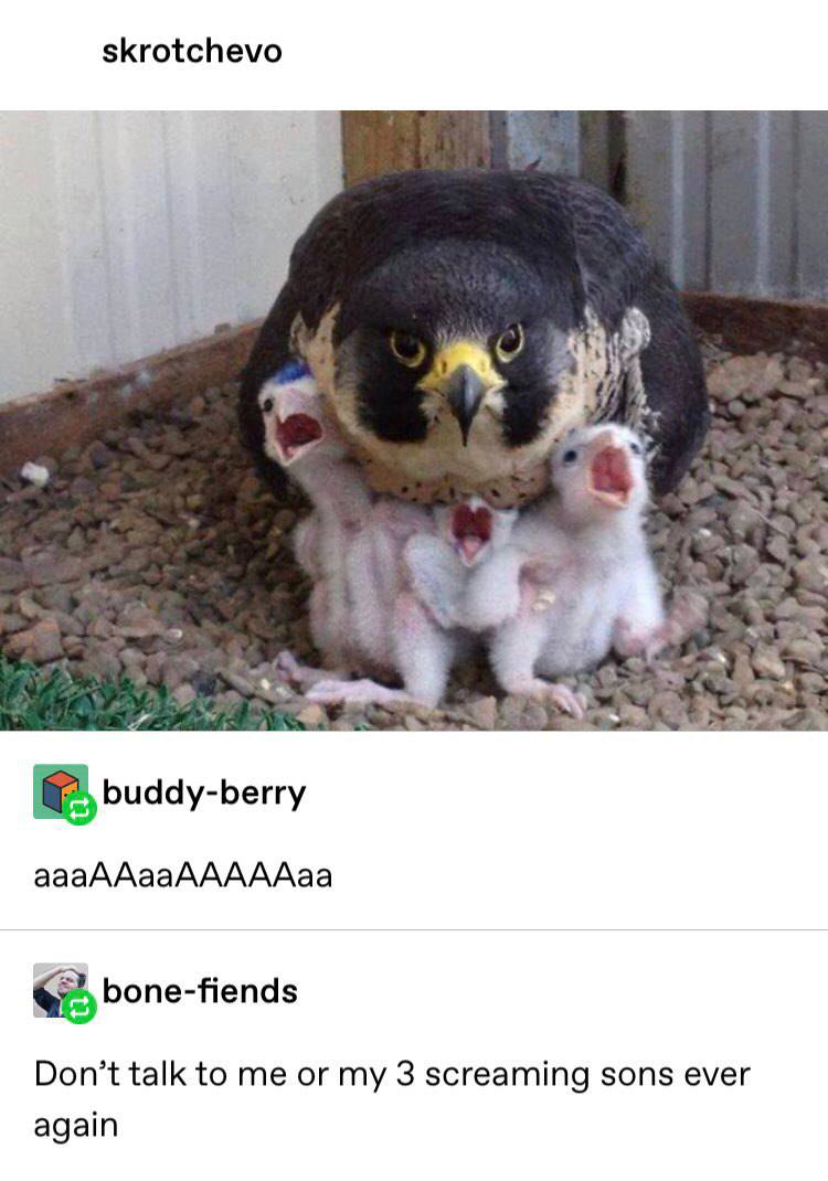 skrotchevo у buddy-berry aaaAAaaAAAAAaa bone-fiends Don’t talk to me or my 3 screaming sons ever again