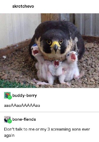 skrotchevo у buddy-berry aaaAAaaAAAAAaa bone-fiends Don’t talk to me or my 3 screaming sons ever again