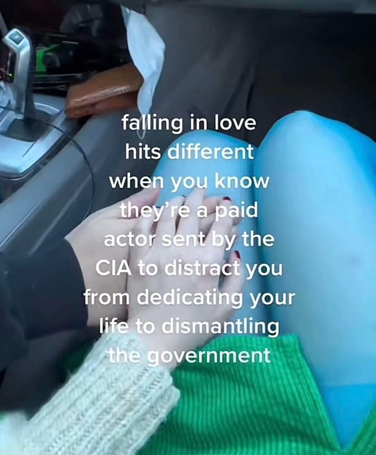 falling in love hits different when you know a paid actor the CIA to distract you from dedicating your dismantling