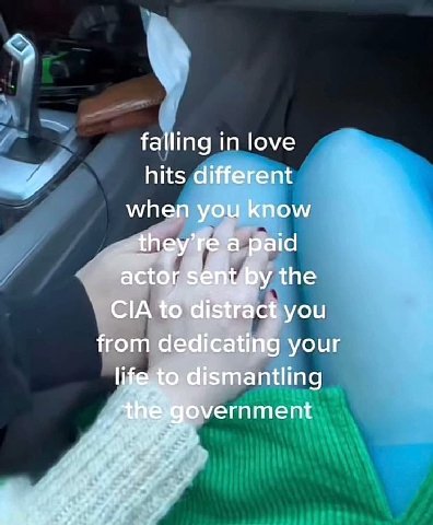 falling in love hits different when you know a paid actor the CIA to distract you from dedicating your dismantling