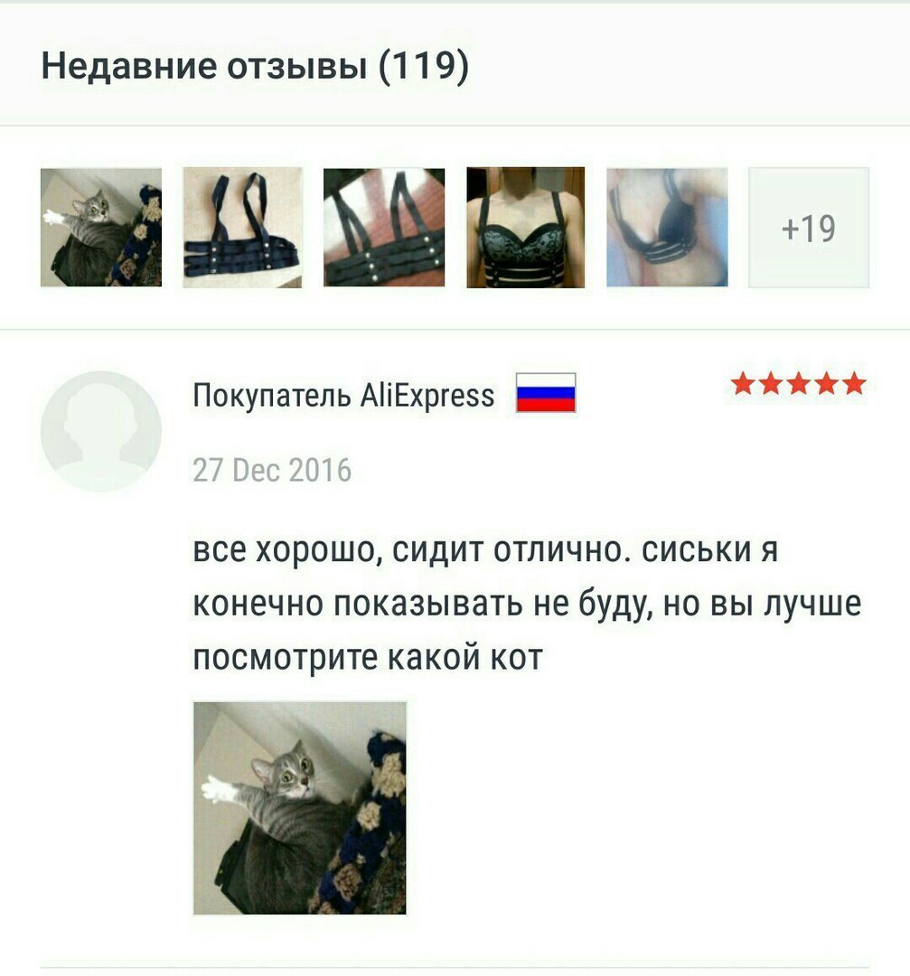 Недавние отзывы (119) +19 Покупатель AliExpress все хорошо, сидит отлично. сиськи я конечно показывать не буду, но вы лучше посмотрите какой кот