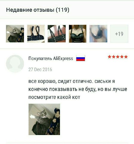 Недавние отзывы (119) +19 Покупатель AliExpress все хорошо, сидит отлично. сиськи я конечно показывать не буду, но вы лучше посмотрите какой кот