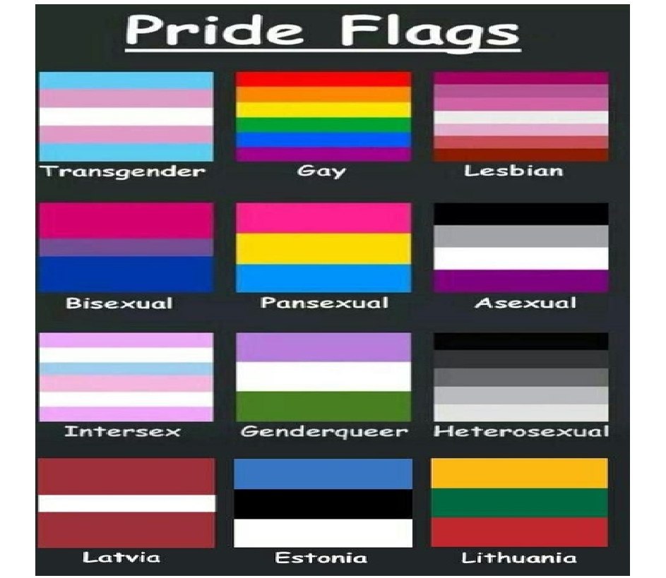Pride Flags Transgender cay Lesbian Asexual Intersex Genderqueer Heterosexual Latwia Estonia Lithuania