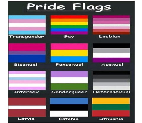 Pride Flags Transgender cay Lesbian Asexual Intersex Genderqueer Heterosexual Latwia Estonia Lithuania