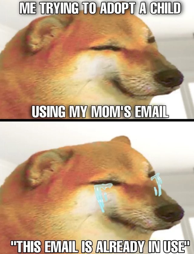 USING MY EMAIL "THIS USE: