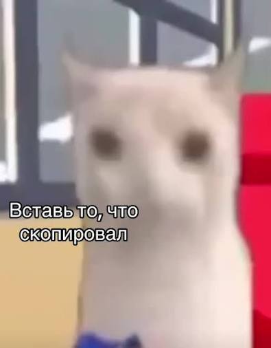 Вставь то, что ‘скопировал