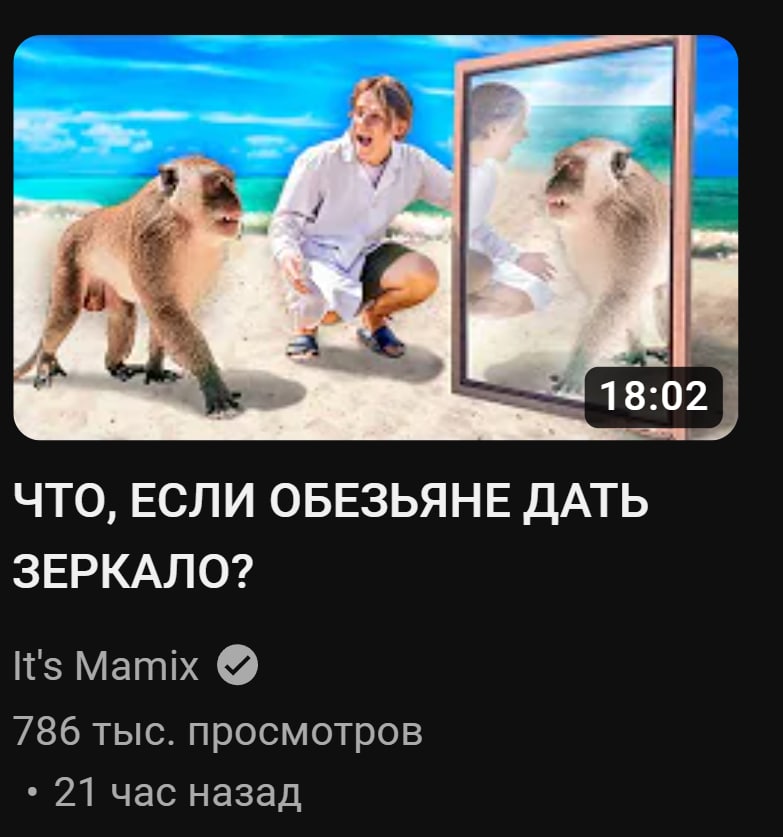 получится мать шлюха Мамикса которая собирается на трассу
